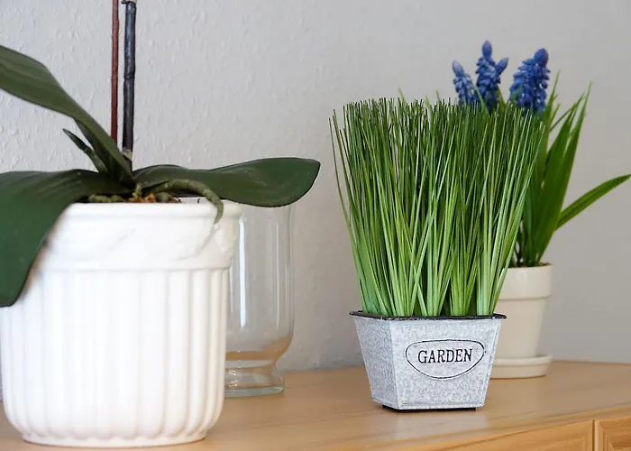 Wohnung-amsel-app-4 Appartement Westerland